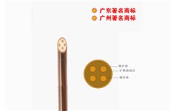 BTTZ-750V礦物質電纜